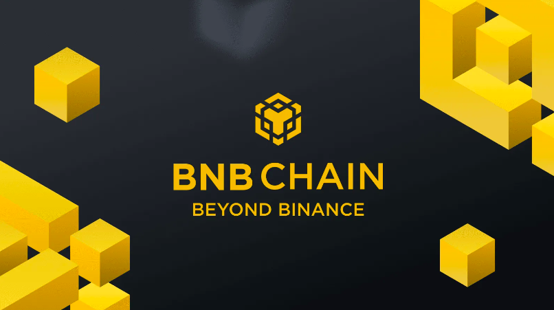 Pandas, cyborgs, dogs, koalas dominate BNB Chain Red Alarm flag list